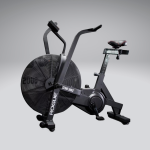 Rogue Echo Bike