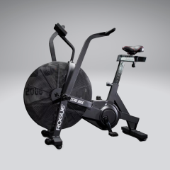 Training Exercise Machine Rogue Echo Bike